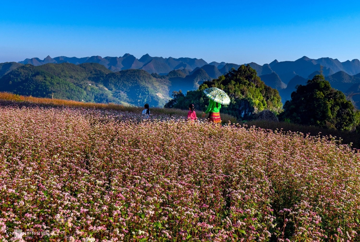 Cao nguyên đá Hà Giang