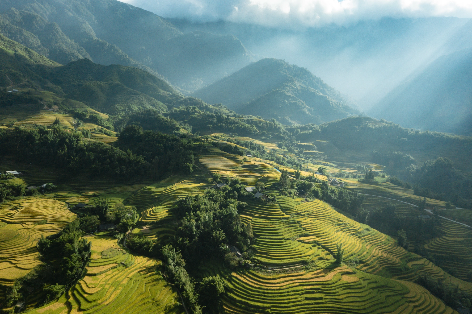 Ruộng bậc thang Sapa